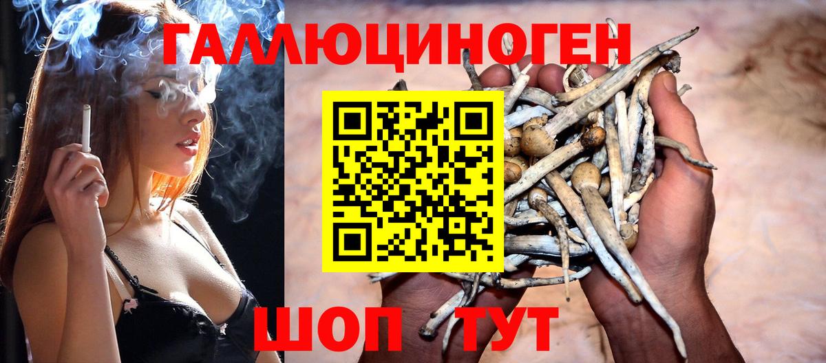 Советск  Псилоцибиновые грибы мухоморы  Вход с VPN 